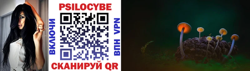 Галлюциногенные грибы Cubensis  Купить закладки  Северская 