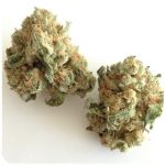 Шишки "White Widow"  (Белая вдова)  Гидропоника -  Бошка VHQ в Северской